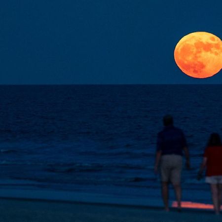 Million Dollar Oceanfront View Leilighet Hilton Head Island Eksteriør bilde