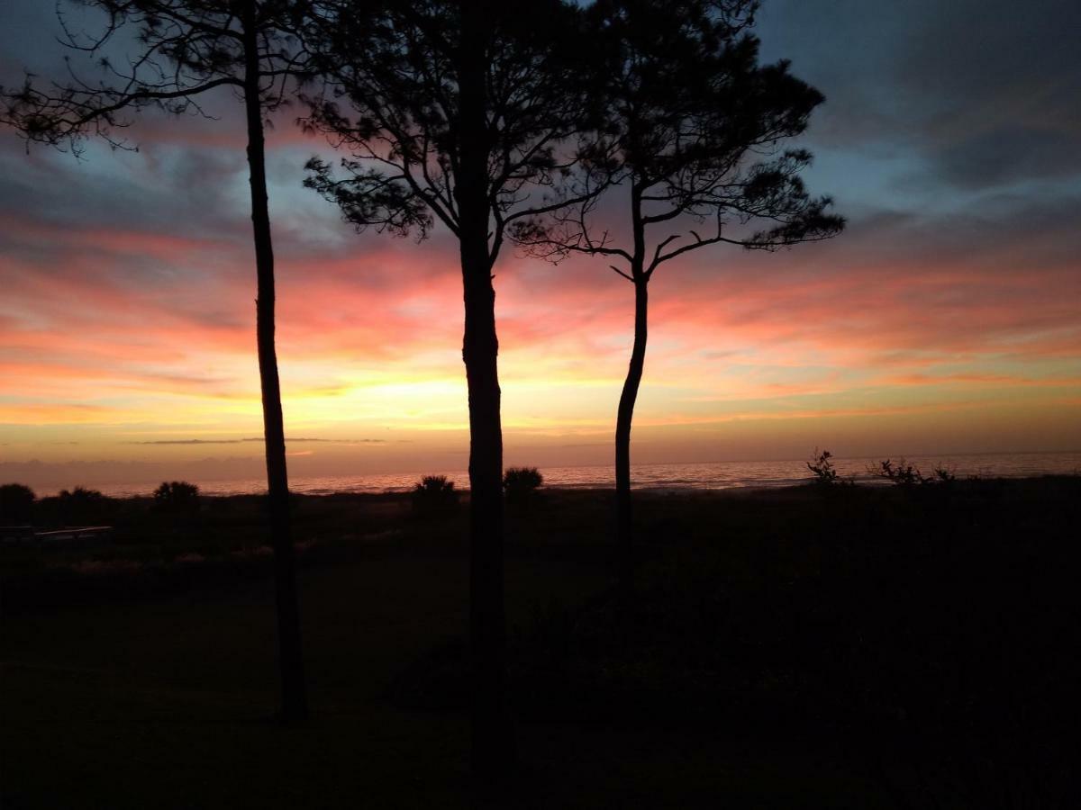 Million Dollar Oceanfront View Leilighet Hilton Head Island Eksteriør bilde